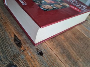 gebrauchtes Buch – Deutsche Geschichte