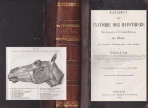 Handbuch der Anatomie der Hausthiere von 1859