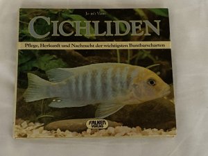 gebrauchtes Buch – Veen, Jo in't – Cichliden