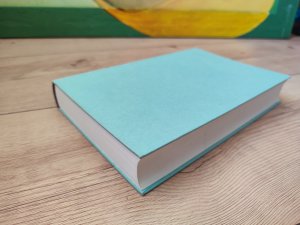 gebrauchtes Buch – Rüdiger Safranski – Goethe und Schiller. Geschichte einer Freundschaft