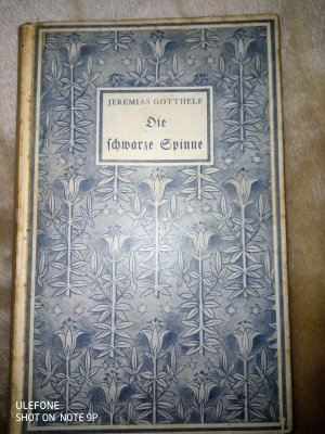 Die schwarze Spinne