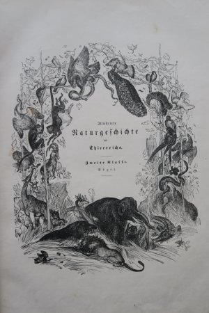 Illustrirte (Illustrierte) Naturgeschichte des Thierreichs. Zweiter Band. Naturgeschichte der Vögel. Band 2 (von 4). Leipzig, Verlagsbuchhandlung von […]