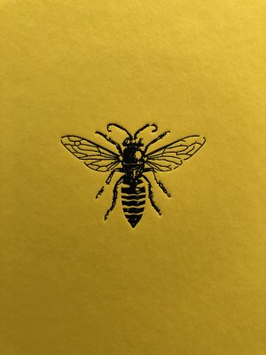 gebrauchtes Buch – Maja Lunde – Die Geschichte der Bienen