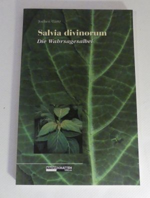 Salvia divinorum. Die Wahrsagesalbei.
