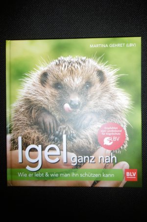 gebrauchtes Buch – Martina Gehret – Igel ganz nah - Wie er lebt & wie man ihn schützen kann