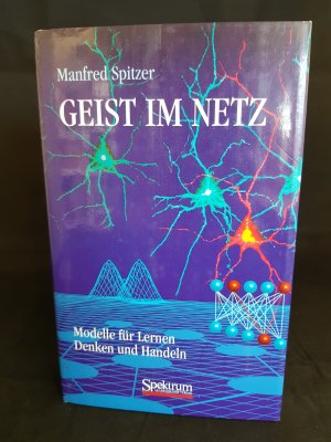 Geist im Netz