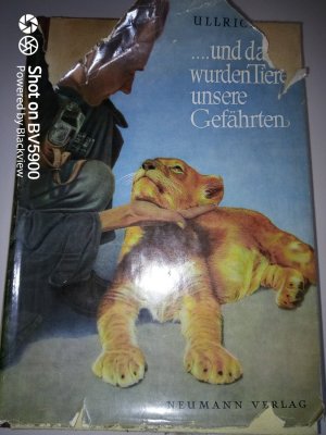 ....und dann wurden Tiere unsere Gefährten