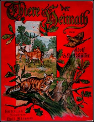 Thiere der Heimat. Deutschlands Säugethiere und Vögel (1897). Mit Original-Illustrationen in Farbendruck nach Zeichnungen und Aquarellen