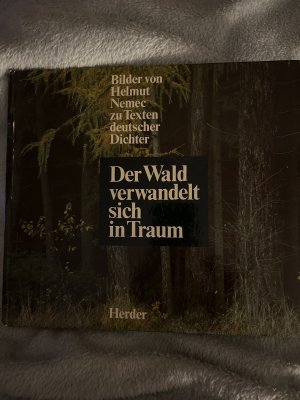 Der Wald verwandelt sich in Traum