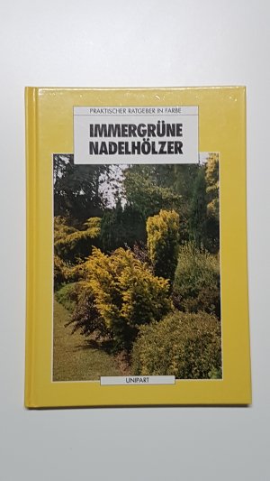 Immergrüne Nadelhölzer