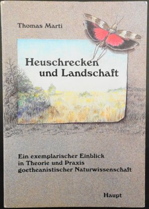 gebrauchtes Buch – Thomas Marti – Heuschrecken und Landschaft