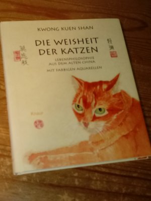 Die Weisheit der Katzen