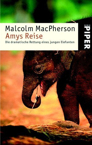 gebrauchtes Buch – Malcolm MacPherson – Amys Reise