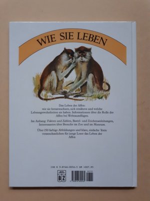 gebrauchtes Buch – Michael Boorer – Affen   ---   Wie sie leben