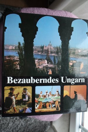 gebrauchtes Buch – Alfred Lau – Bezauberndes Ungarn