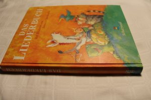 gebrauchtes Buch – Catrin Frischer – Das Liederbuch