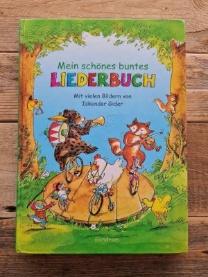 Mein schönes buntes Liederbuch