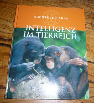 Abenteuer Erde - Intelligenz im Tierreich