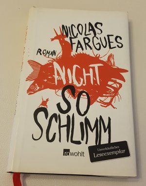 gebrauchtes Buch – Nicolas Fargues – 01- Nicht so schlimm