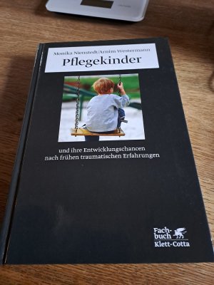 Pflegekinder und ihre Entwicklungschancen nach frühen traumatischen Erfahrungen