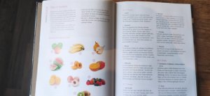 gebrauchtes Buch – Sonja Sammüller – Kochen für Babys - Gesundes Essen einfach selbst machen