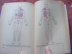 gebrauchtes Buch – Knauth, Katharina/ Reiners – Physiotherapeutisches Rezeptierbuch. Vorschläge für