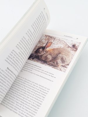 gebrauchtes Buch – Braunschweig, Albrecht von – Wildkrankheiten und Fleischbeschau (2000)