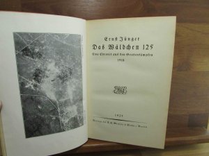 Das Wäldchen 125 : eine Chronik aus den Grabenkämpfen 1918.