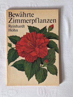 Bewährte Zimmerpflanzen