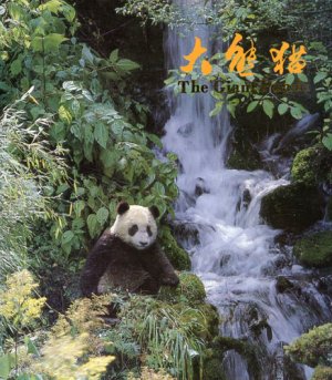 gebrauchtes Buch – The giant Panda