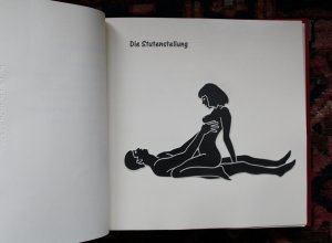 Kamasutra. Die 21 besten Stellungen. Ein Reliefbuch der Deutschen Zentralbücherei für Blinde zu Leipzig. 2011.