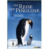 gebrauchter Film – Luc Jaquet – Die Reise der Pinguine