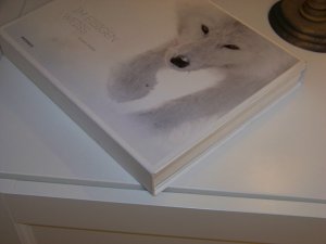 gebrauchtes Buch – Vincent Munier – Im eisigen Weiss Weiß +++ Vincent Munier +++ Fotografie Arktis +++ TOP!!!