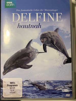 Delfine hautnah