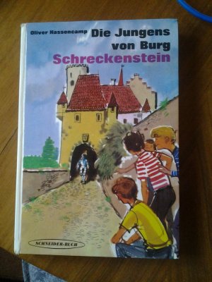 Burg Schreckenstein Band 01 Die Jungens von Burg Schreckenstein.Illustrationen Ulrike Schramm Verlag Schneider Buch