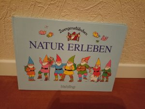 gebrauchtes Buch – Schuster, Elke; Schuster – Zwergenstübchen Natur erleben