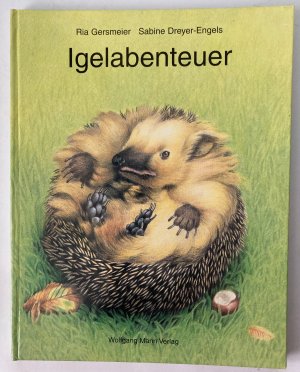 gebrauchtes Buch – Gersmeier, Ria/Dreyer-Engels – Igelabenteuer