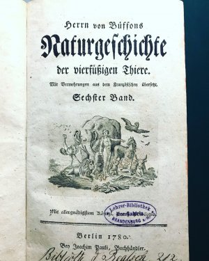 antiquarisches Buch – Buffon, Georges-Lovis Leclerc de – Herrn von Buffons Naturgeschichte der vierfüßigen Thiere.Sechster Band