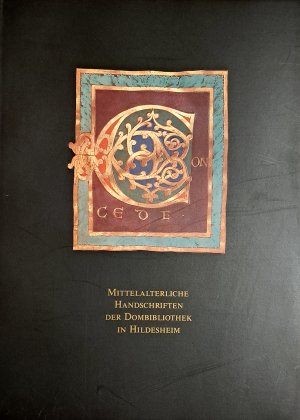 gebrauchtes Buch – Jochen Bepler – Mittelalterliche Handschriften der Dombibliothek in Hildesheim