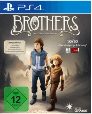 Brothers - A Tale of Two Sons