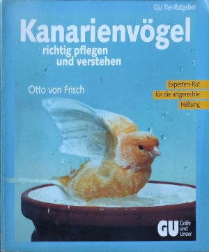 Kanarienvögel richtig pflegen und verstehen