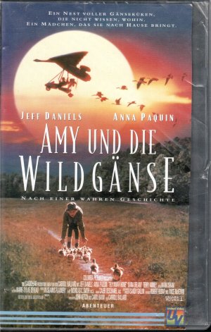 Amy und die Wildgänse