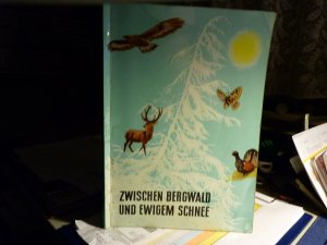 antiquarisches Buch – C. H. Knorr GmbH – Zwischen Bergwald und ewigem Schnee