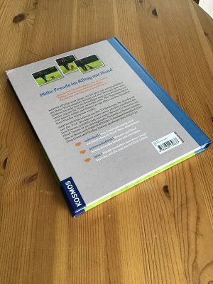 gebrauchtes Buch – Rütter, Martin; Buisman, Andrea – Hundetraining mit Martin Rütter