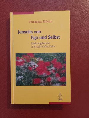 WIE NEU !! Jenseits von Ego und Selbst - Erfahrungsbericht einer spirituellen Reise