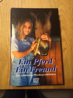 Ein Pferd - ein Freund