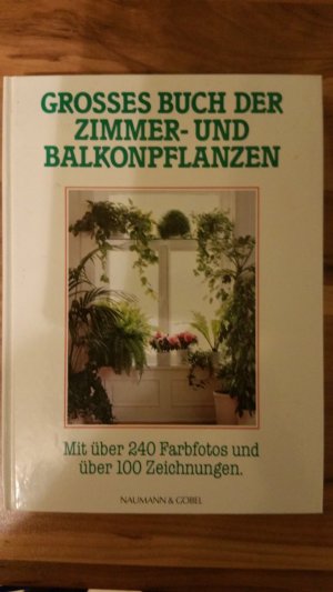 gebrauchtes Buch – Grosses Buch der Zimmer- und Balkonpflanzen