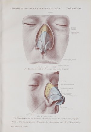 Topographische Anatomie nach Regionen: Topographische Anatomie des Kopfes; der Nase und ihrer Nebenhöhlen; Anatomie des Gehörorgans, des Mundrachens; […]