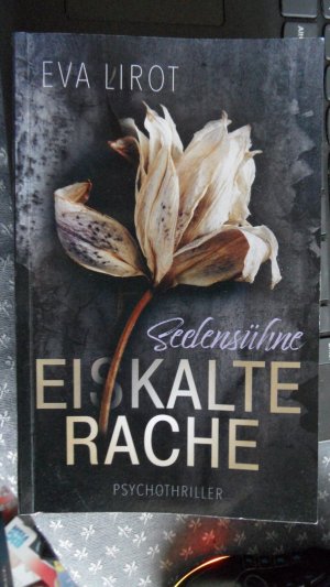 Seelensühne (Jim Devcon-Serie, Band 5) Eiskalte Rache