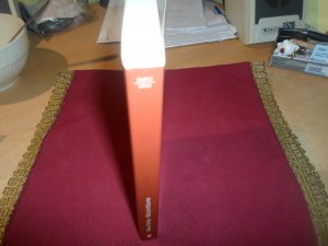 gebrauchtes Buch – Waris Dirie – Wüstenblume